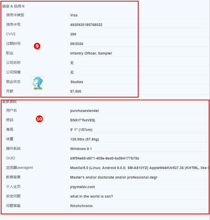 Multi Country Address Generation VISA Card