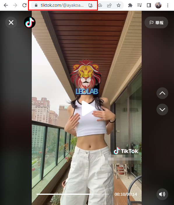 003.SaveTik複製TikTok網址